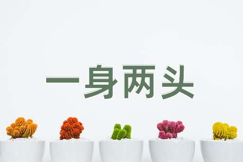 成语一身两头
