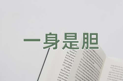 成语一身是胆