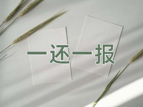成语一还一报