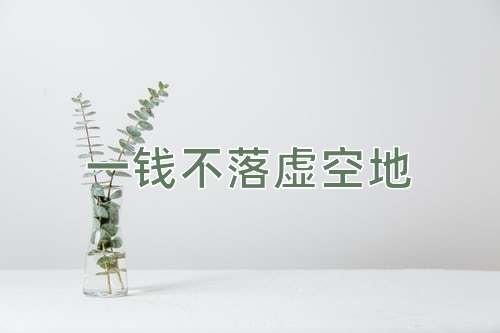 成语一钱不落虚空地