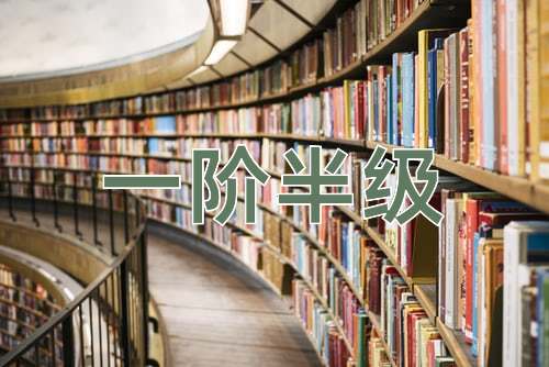 成语一阶半级