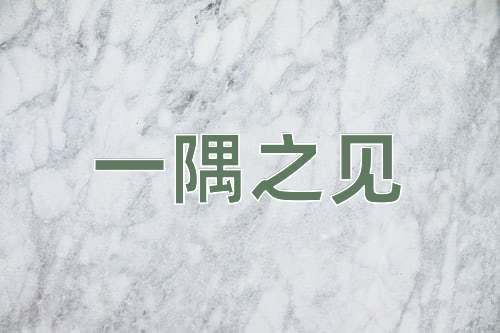 成语一隅之见