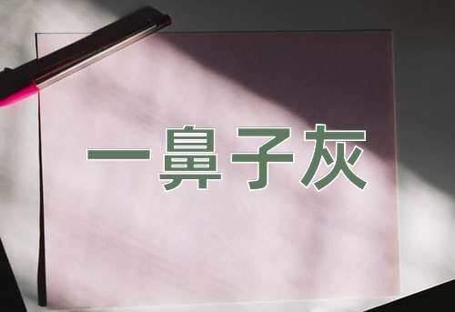 成语一鼻子灰
