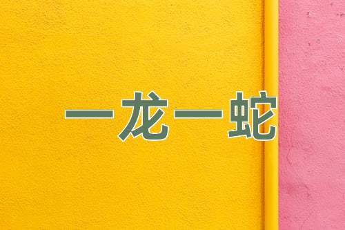 成语一龙一蛇
