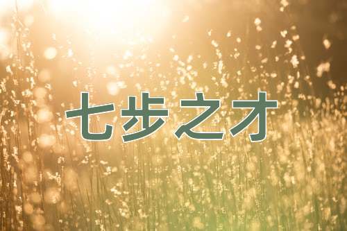 成语七步之才