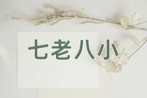成语七老八小