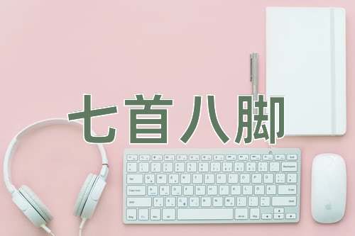 成语七首八脚