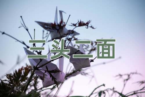 成语三头二面