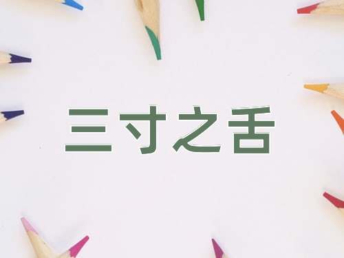 成语三寸之舌