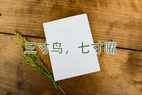 成语三寸鸟，七寸嘴