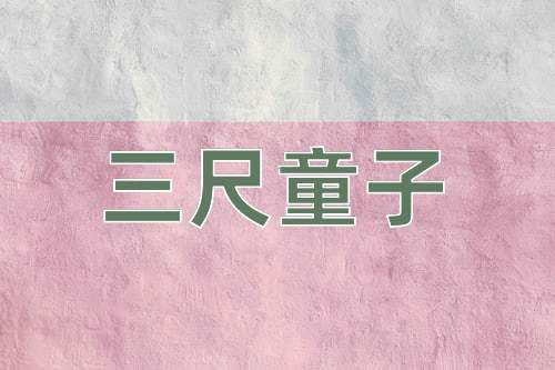 成语三尺童子