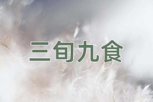 成语三旬九食