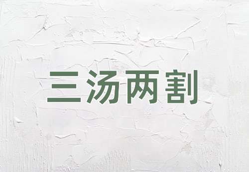 成语三汤两割