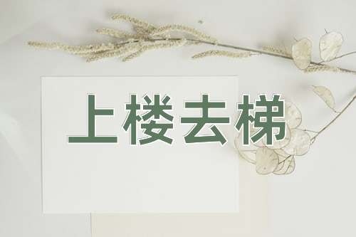 成语上楼去梯