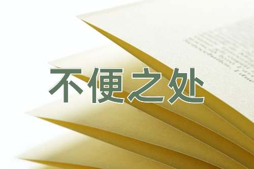 成语不便之处