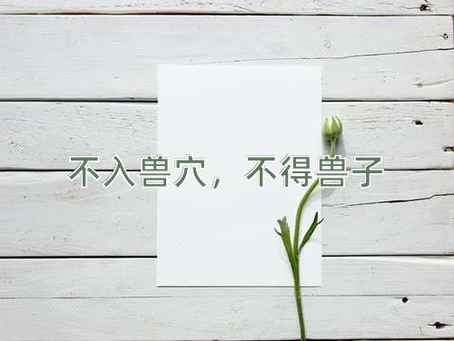 成语不入兽穴，不得兽子
