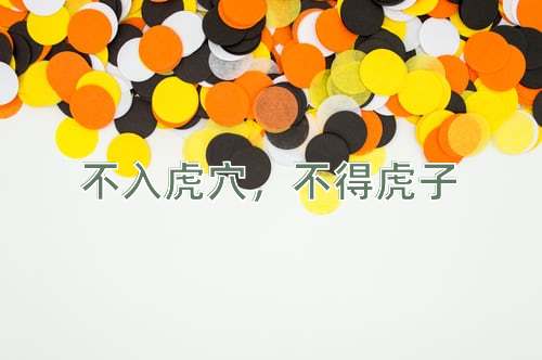成语不入虎穴，不得虎子