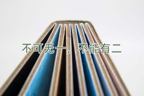 成语不可无一，不能有二