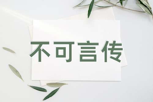 成语不可言传