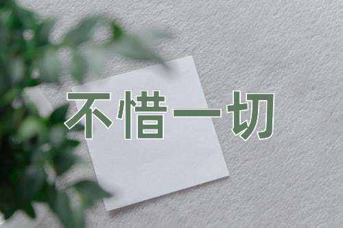 成语不惜一切