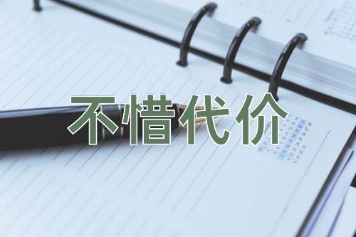 成语不惜代价