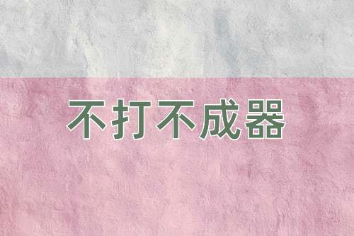 成语不打不成器