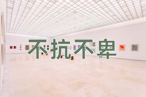 成语不抗不卑