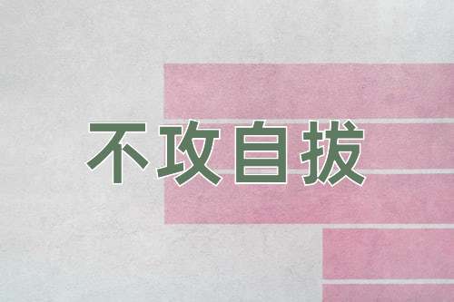 成语不攻自拔