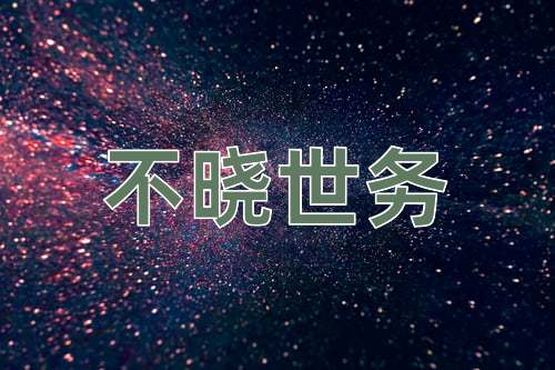 成语不晓世务