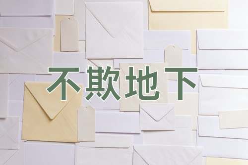 成语不欺地下