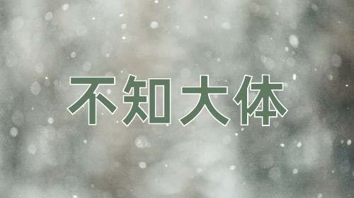 成语不知大体