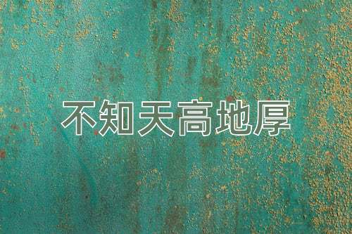 成语不知天高地厚