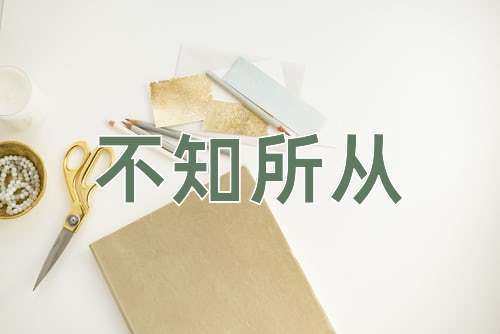 成语不知所从