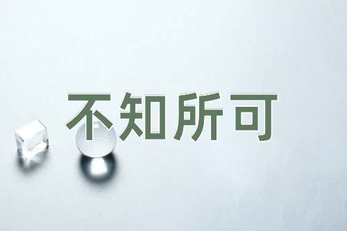 成语不知所可
