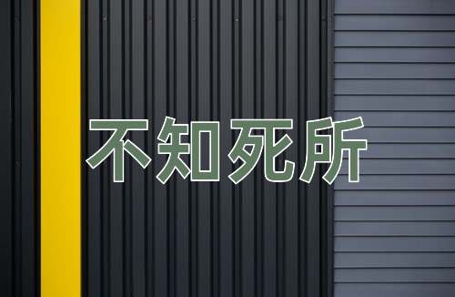 成语不知死所
