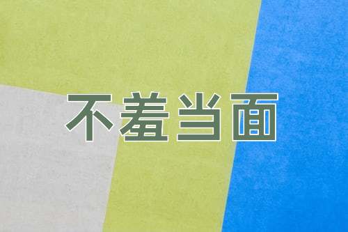 成语不羞当面