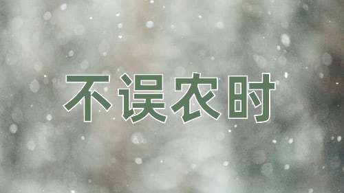 成语不误农时