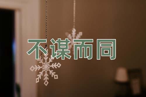 成语不谋而同
