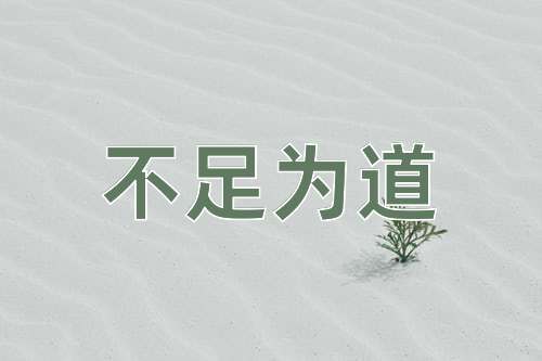成语不足为道
