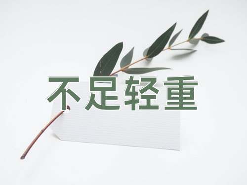 成语不足轻重
