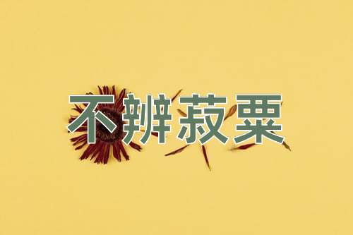成语不辨菽粟