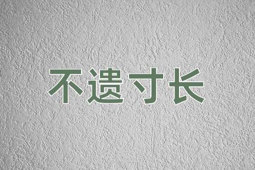 成语不遗寸长