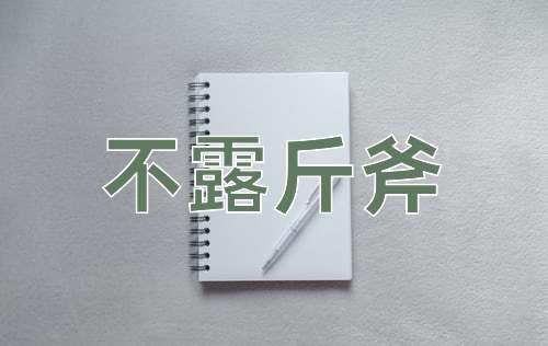 成语不露斤斧
