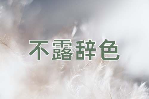 成语不露辞色
