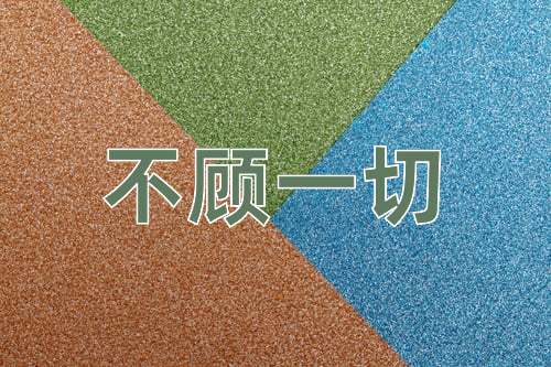 成语不顾一切