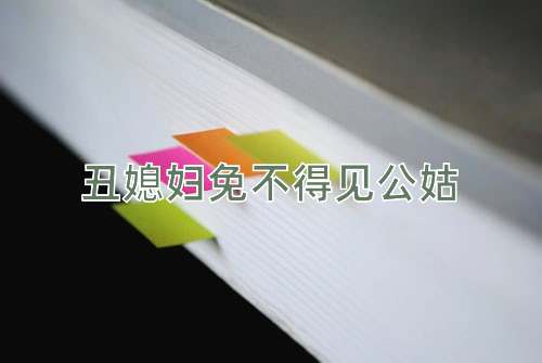 成语丑媳妇免不得见公姑