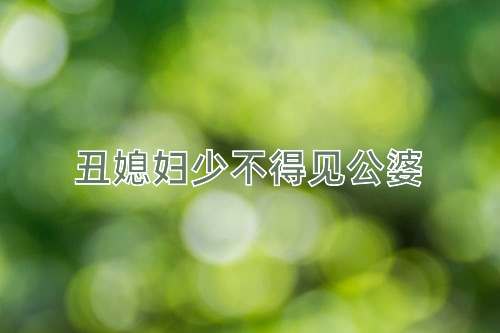 成语丑媳妇少不得见公婆