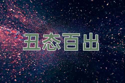 成语丑态百出