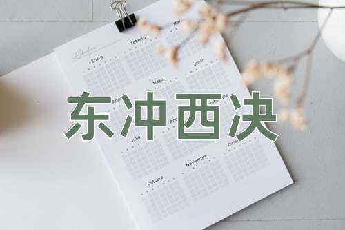 成语东冲西决