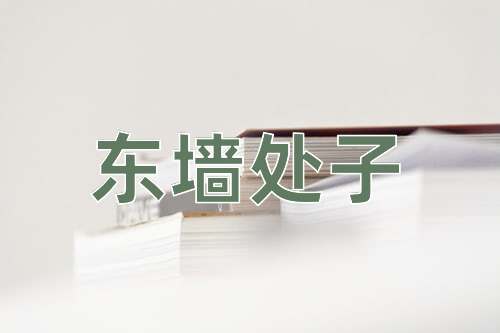 成语东墙处子